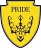 PRIDE_ua_logo-2